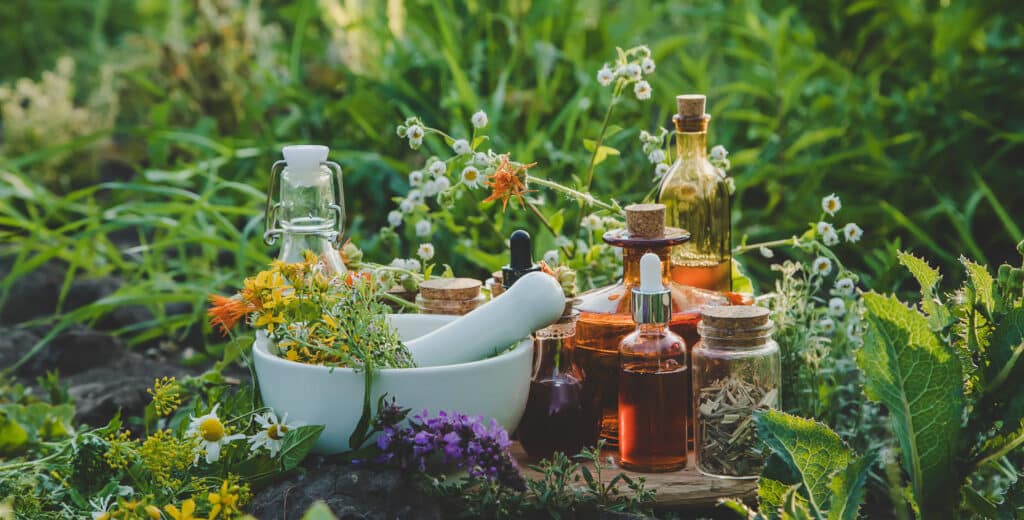 Herbes fraîches, fleurs, mortier et pilon, et diverses bouteilles d'huiles essentielles dans un jardin luxuriant, évoquant la phytothérapie et les remèdes naturels.